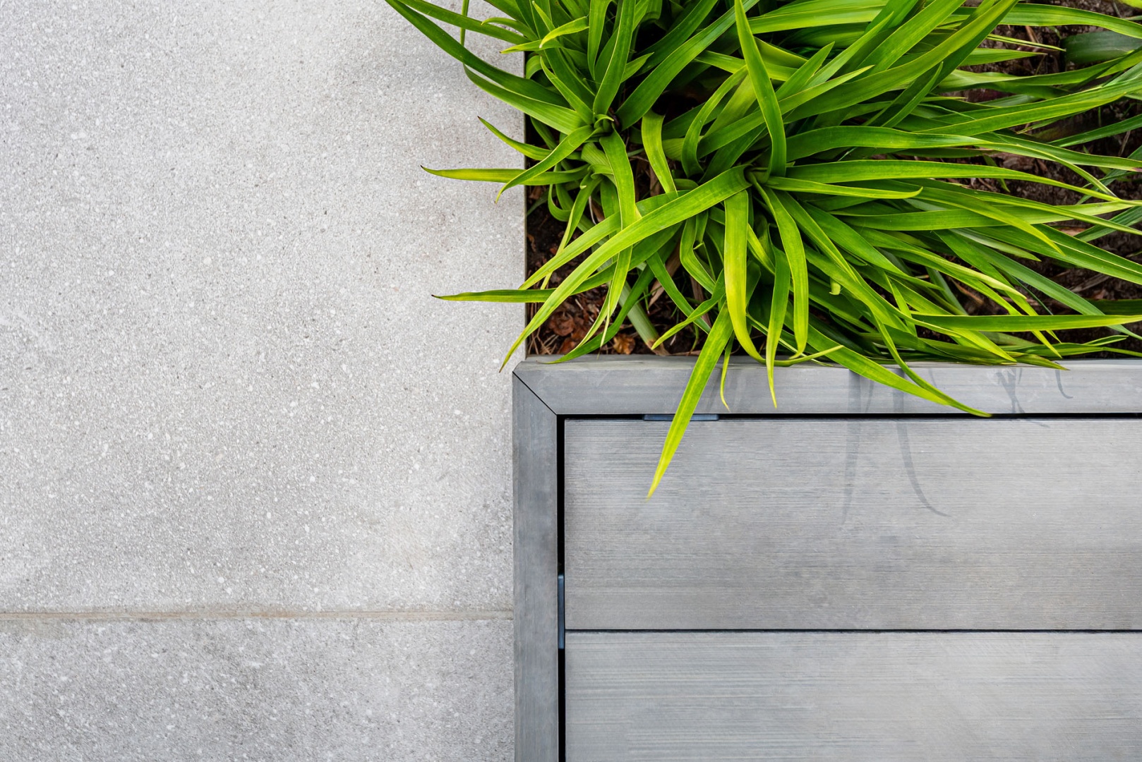 Afbeelding Midden in het bos 2