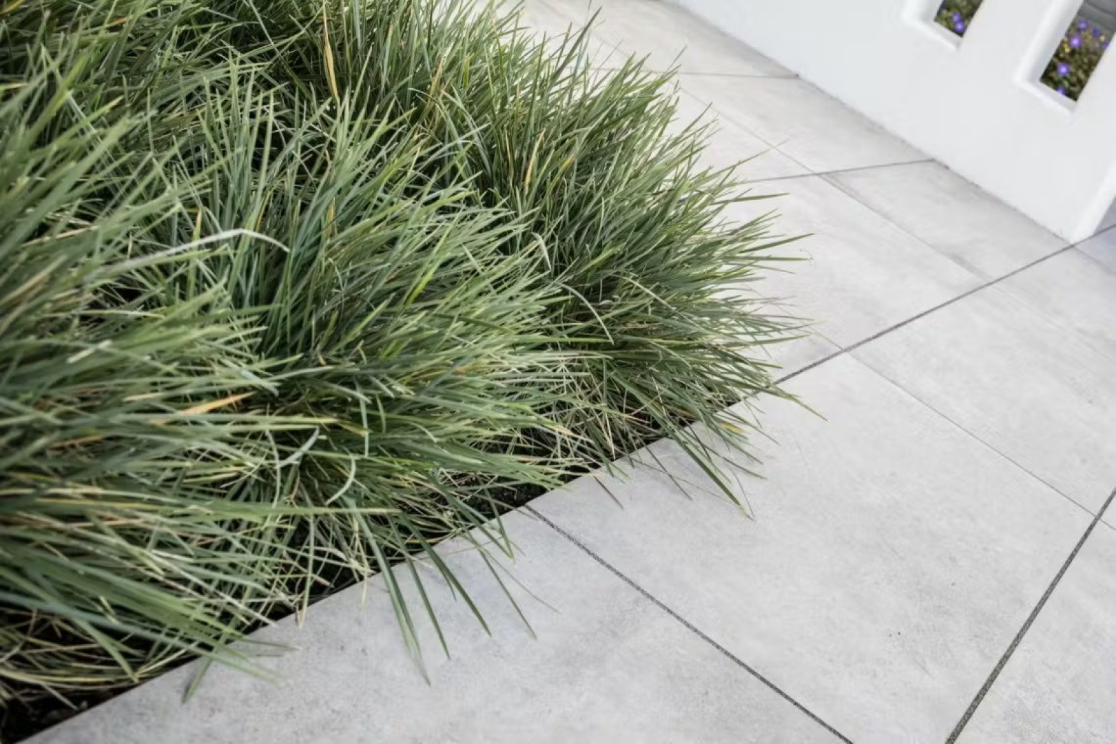 Afbeelding Stadstuin 0