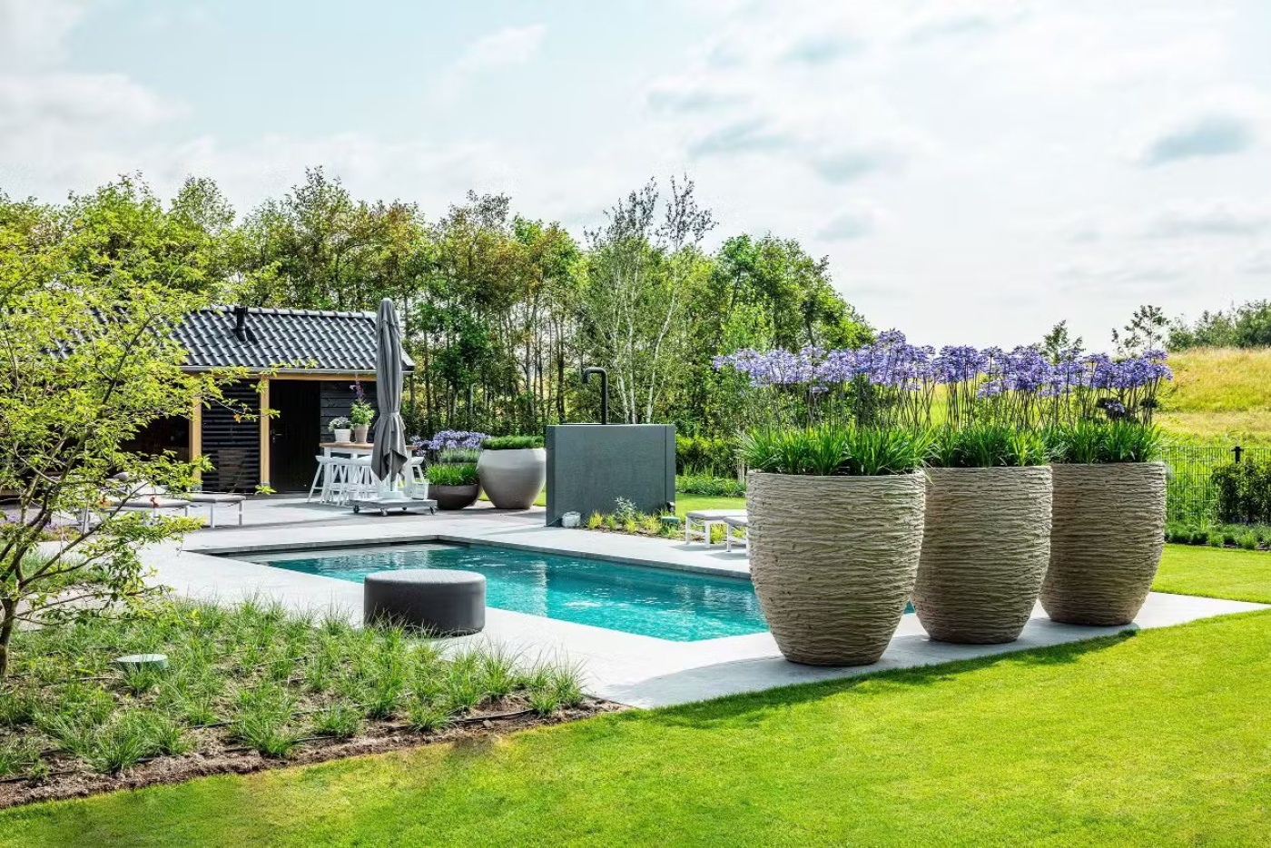 Moderne tuin met zwembad