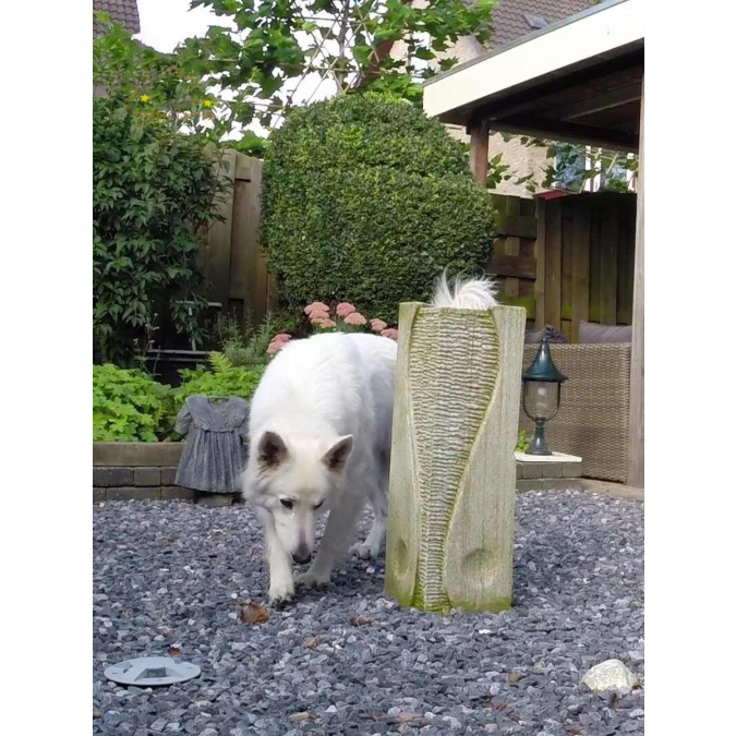 Afbeelding 2 Ardenner grijs split 14/20mm