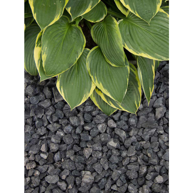 Afbeelding 2 Basalt edelsplit 16/32mm