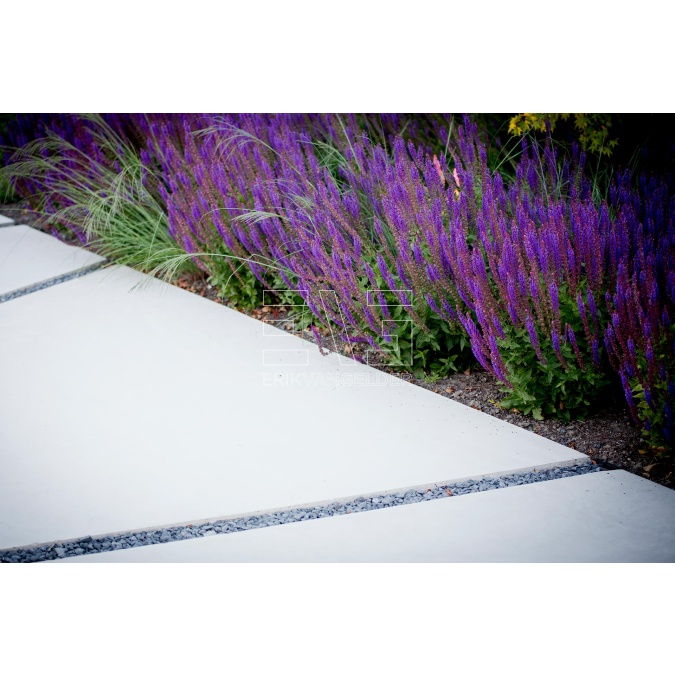 Afbeelding 2 EVG betontegels - Element B