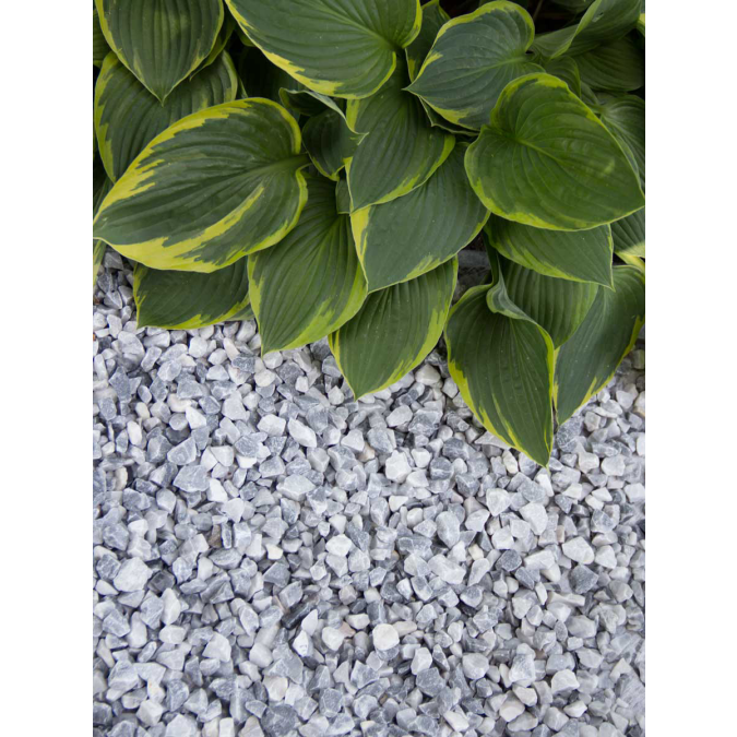 Afbeelding 2 Icy bleu split 8/16mm