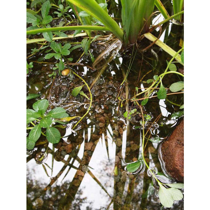 Afbeelding 3 Lava split 8/16mm