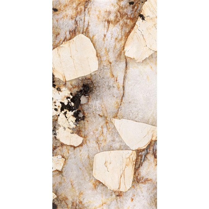 Afbeelding 1 Patagonia