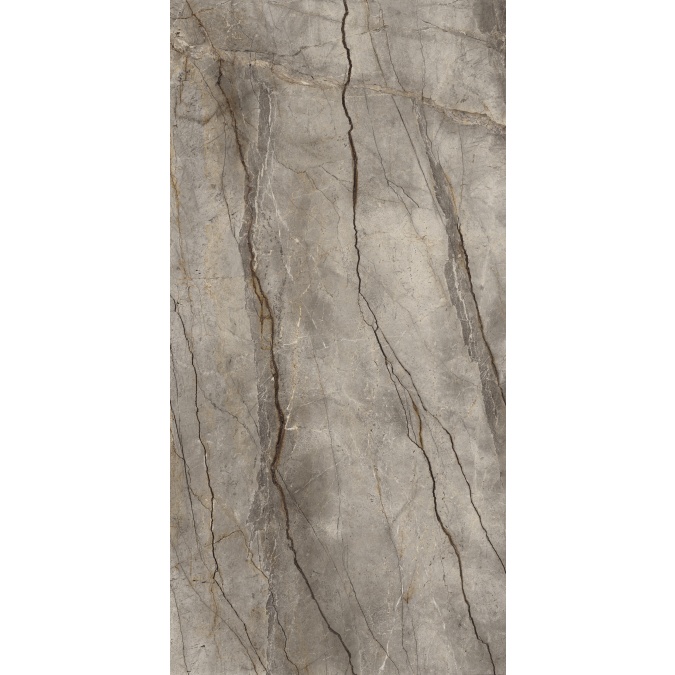 Afbeelding 1 Silver Root