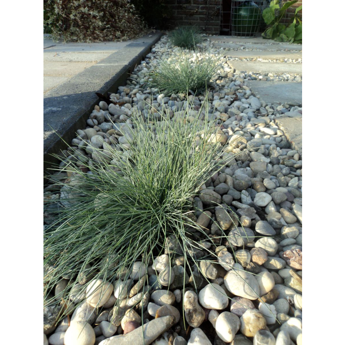 Afbeelding 3 Witte grind 16/32mm