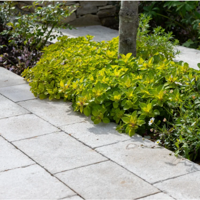 Afbeelding 2 Zahra Beige Etched Drivesets