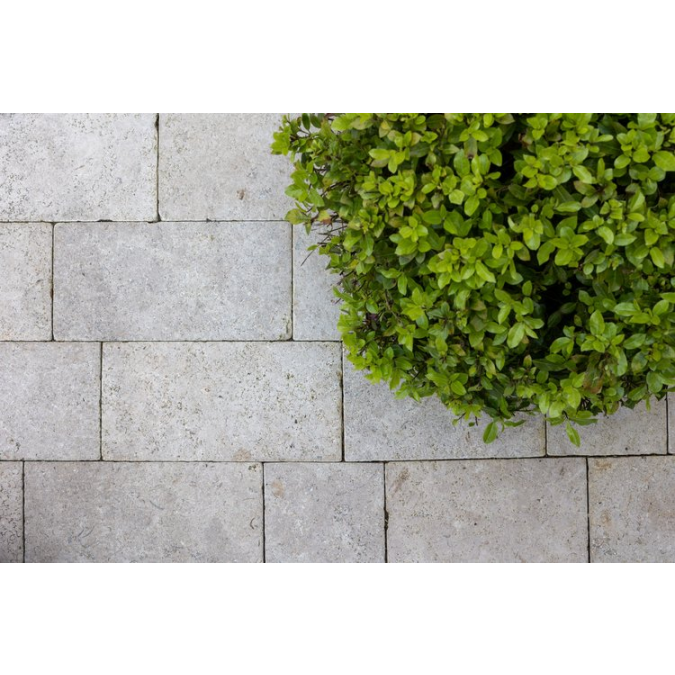 Afbeelding 1 Natuursteen-TR918-01-Etched