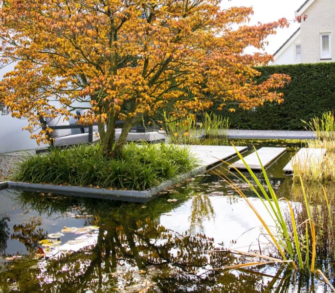 Afbeelding Moderne watertuin