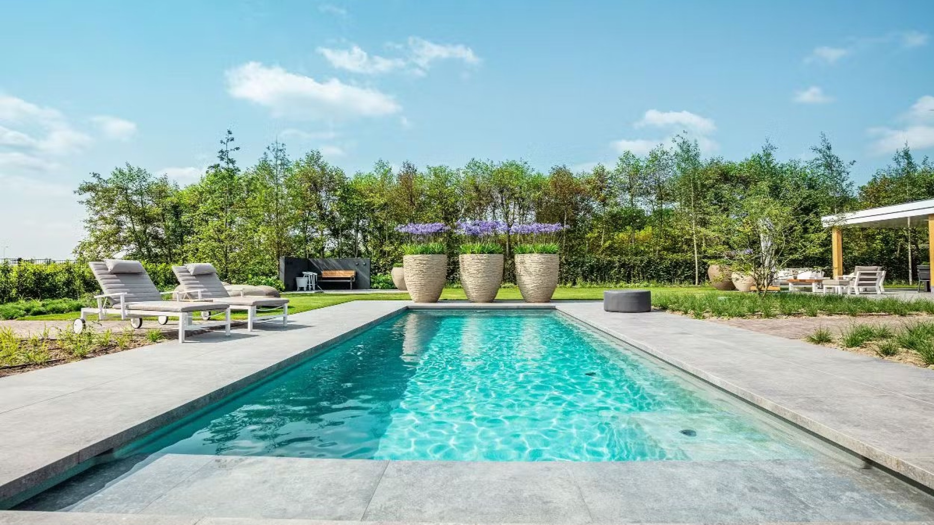 Moderne tuin met zwembad