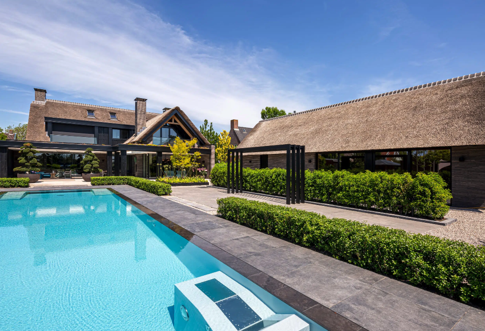 Afbeelding Tuin met infinity zwembad 4