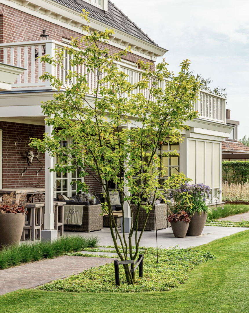 Afbeelding Luxe tuin vol kleur 2