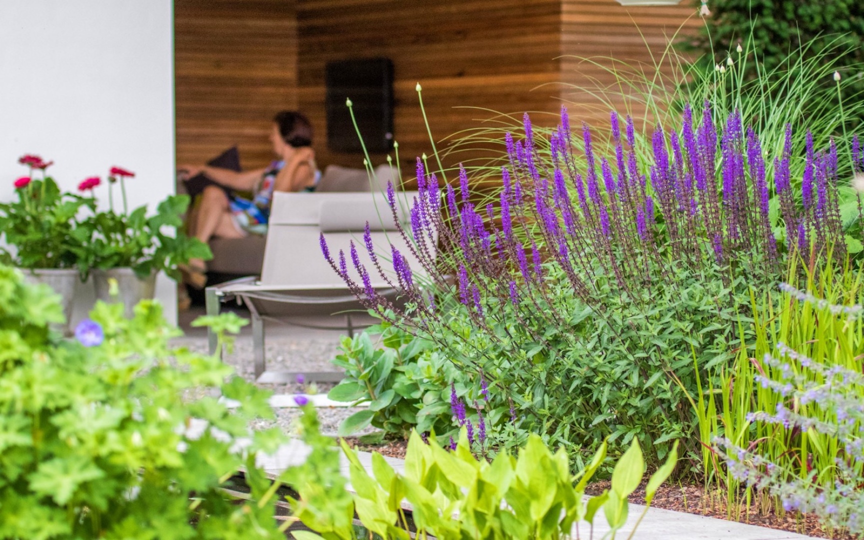 Afbeelding Sfeervolle tuin met veranda 0