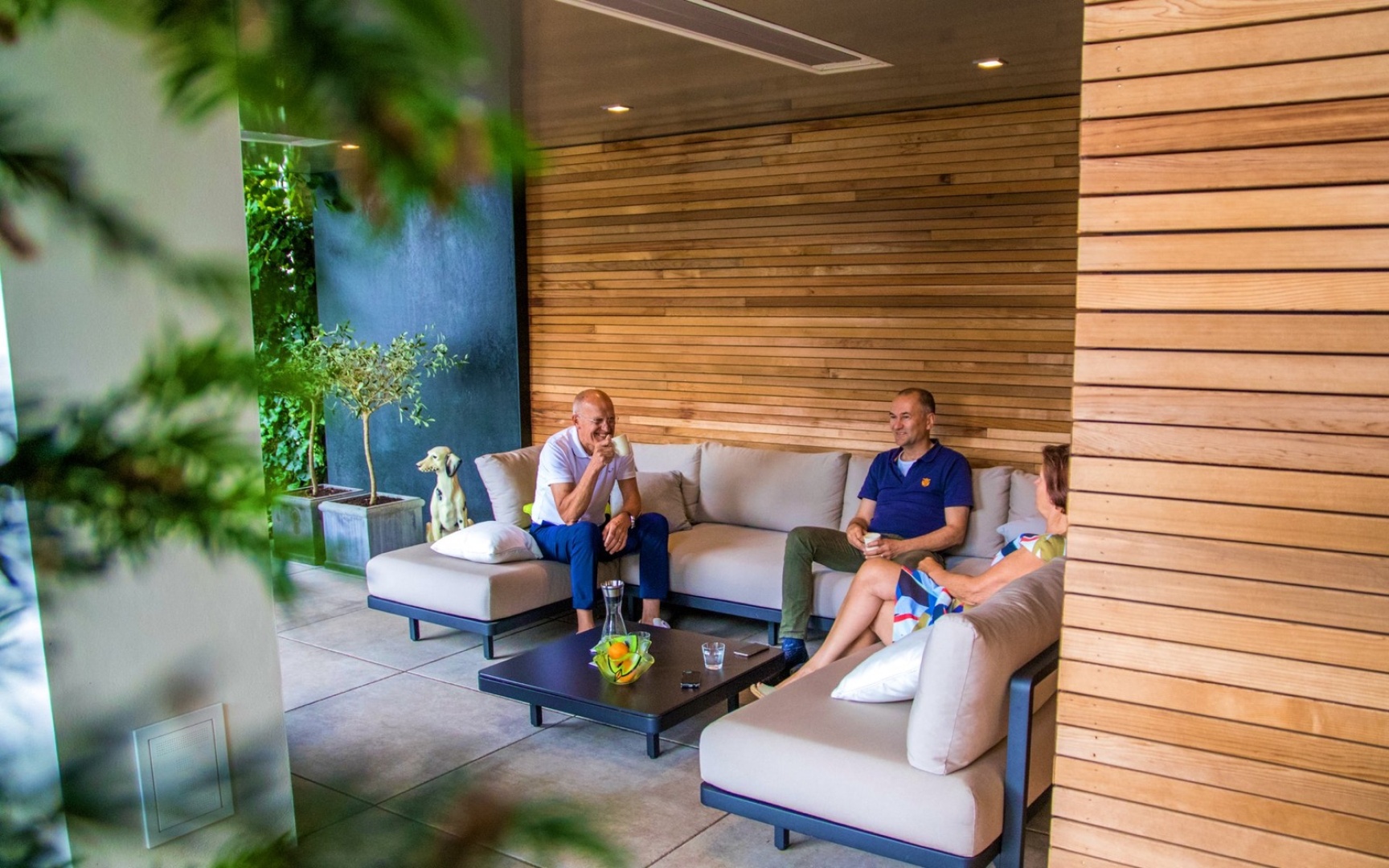 Afbeelding Sfeervolle tuin met veranda 1