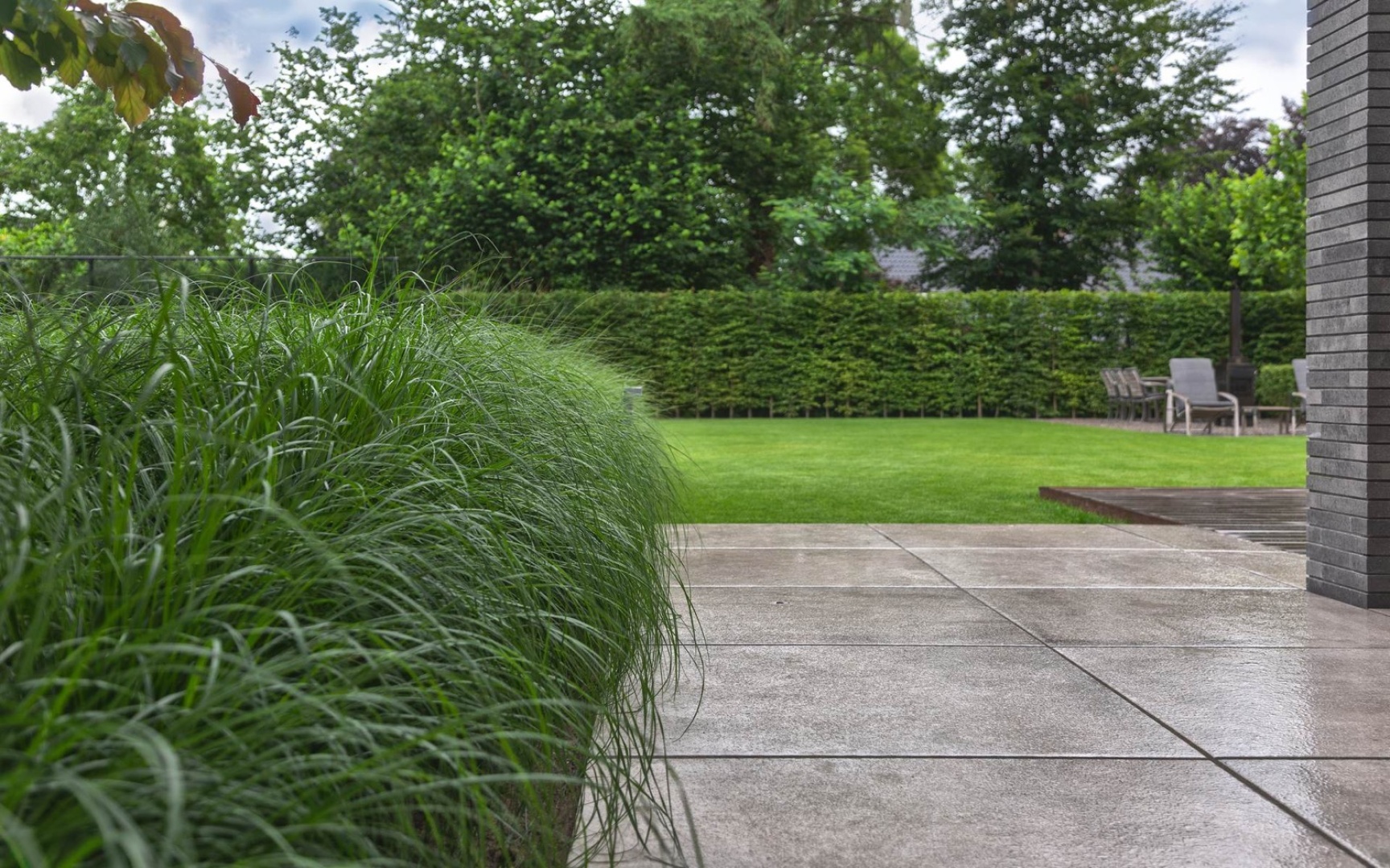 Afbeelding Strakke tuin met groene 5