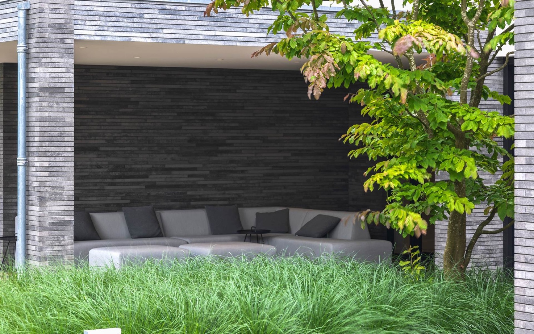 Afbeelding Strakke tuin met groene 7