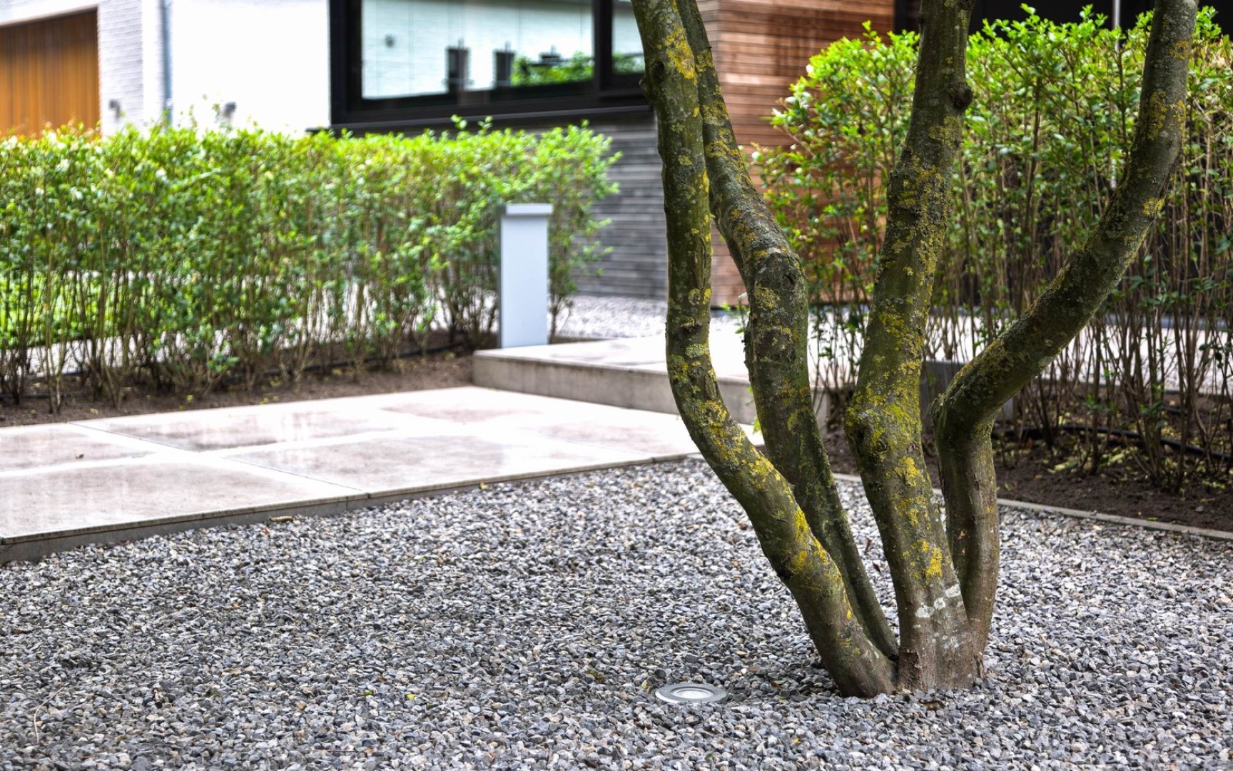 Afbeelding Strakke tuin met groene 9